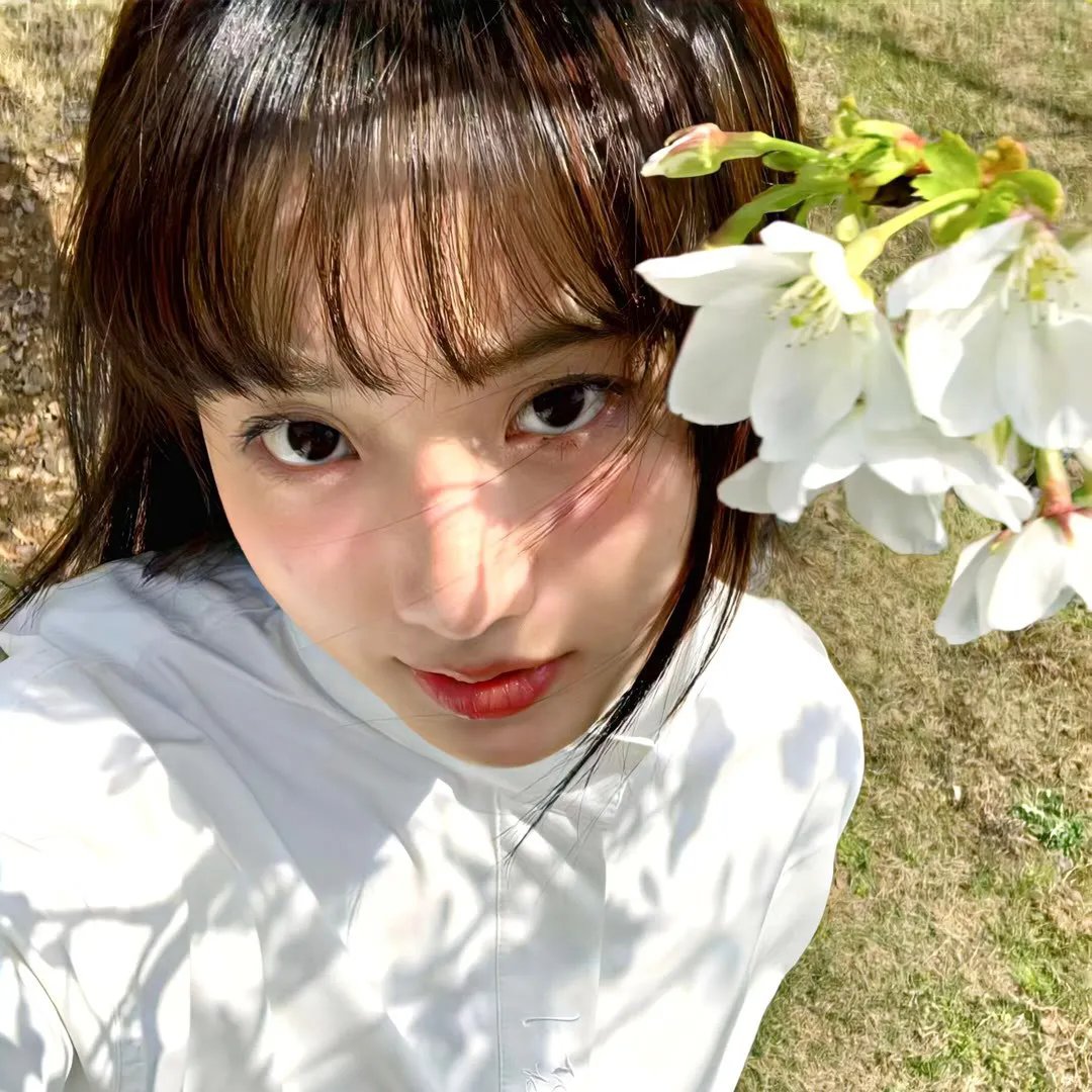 夺我灵兽后宗门后悔了